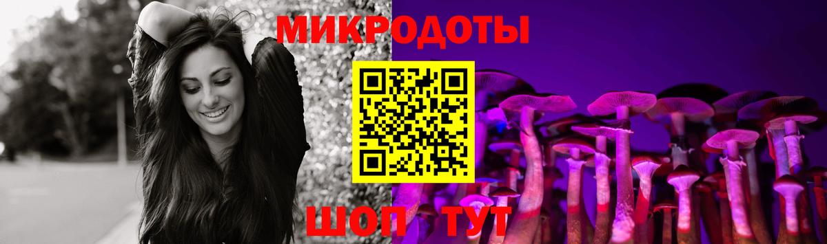 Псилоцибиновые грибы мицелий Ярославль